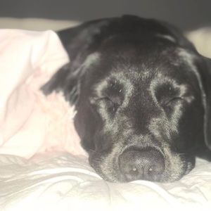 Meet your Posher, Keira